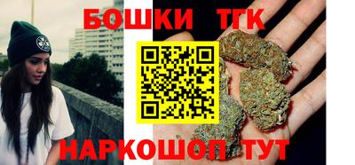 индика Новозыбков