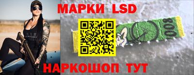 индика Новозыбков