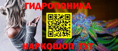 мдпв Новокубанск
