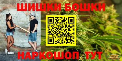 индика Новозыбков