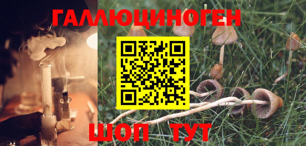 Тавда  Псилоцибиновые грибы Magic Shrooms  купить  сайты  Вход с VPN 